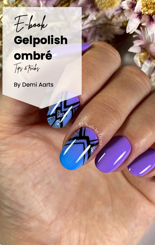 Bundel Deal! Video + E-Book: Gelpolish Ombré